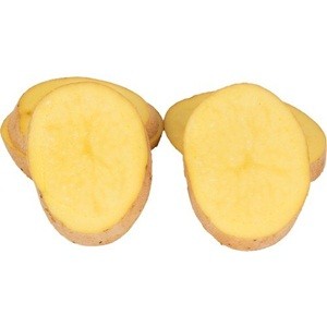 Afyon Agria Kızartmalık Patates (10 KG)